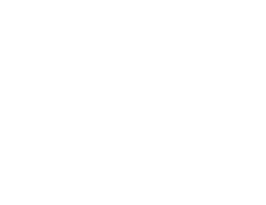 TT FUTURE SYSTEMS